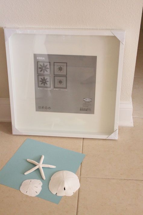 How To Display Sand Dollars, Framed Sand Dollars Diy, Display Sand Dollars, Framed Sand Dollars, Shells In Shadow Boxes, Shadow Box With Sand Dollars, Sand Dollar Craft, Chic Beach House, Shabby Chic Beach