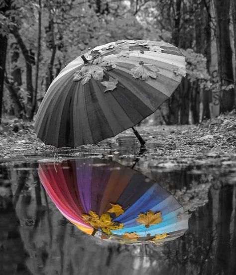 Selective Color Photography, Color Splash Photo, Color Splash Photography, Splash Photography, Umbrella Art, Foto Art, White Picture, Black White Photos, Black And White Pictures