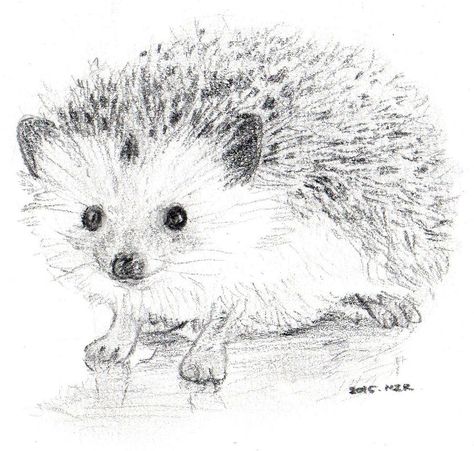 Hedgehog Sketch, Hedgehog Watercolor, Hedgehog Drawing, Animal Paintings Acrylic, Easy Animal Drawings, Wood Art Projects, Cute Sketches, Hedgehog Art, Pencil Art Drawings