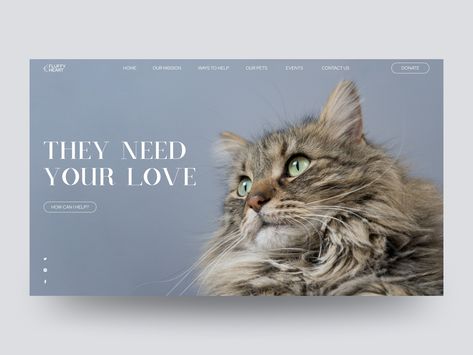 Animal Shelter by Brightlab Animal Rescue Website Design, Animal Shelter Design, Cat Website, Ux App Design, Animal Doctor, Shelter Design, Pet Hotel, Magazine Layout Design, Composition Design