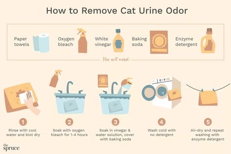 How to Remove Cat Urine Odor From Laundry Remove Cat Urine Smell, Pet Urine Smell, Cat Urine Remover, Cat Pee Smell, Cat Urine Smells, Pee Smell, Urine Odor, Urine Smells, Urine Stains