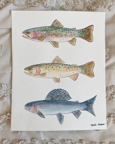 Westslope cutthroat trout, yellowstone cutthroat trout, arctic grayling-Nicole Benson Watercolor Trout, Arctic Grayling, Trout Painting, Fish Paintings, Cutthroat Trout, Fly Fishing Art, Fishing Art, Watercolor Fish, Rainbow Trout