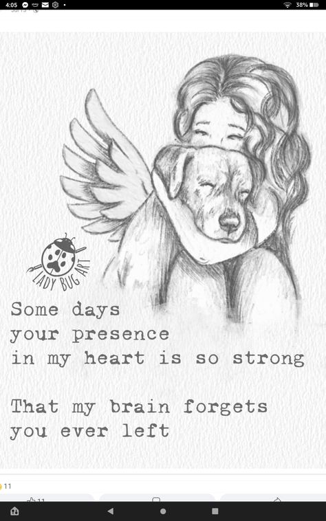 Losing A Dog Quotes, Losing A Pet Quotes, Dog Heaven Quotes, Miss My Dog, Dog Poems, Dog Quotes Love, Dog Heaven, Bug Art, Life Without You