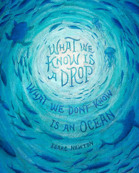 24x32 inch chalkboard art. Hand-lettered quote, ocean, under the sea, turtles, fish theme. Elf Workshop, Turtle Quotes, Sea Quotes, Library Themes, Sea Illustration, Behind The Scenes Photos, Naive Illustration, Under The Sea Theme, Isaac Newton