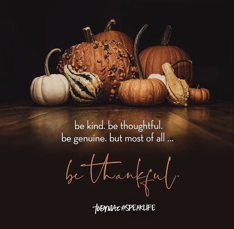 November Blessings, Tobymac Speak Life, Toby Mac, November Quotes, Thankful Quotes, Bible Quotes Images, Speak Life, Thanksgiving Quotes, Autumn Quotes