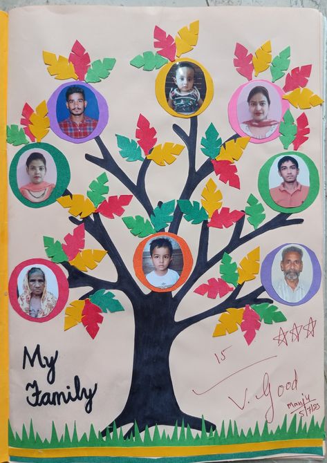 Family Collage Ideas For School, Family Tree Ideas For Kids School, Family Tree Craft Preschool, Family Tree Project For School, Activites Creche, Family Tree Ideas For Kids, Diy Family Tree Project, Kids Craft Work, Family Tree Drawing