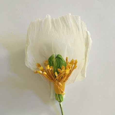 Crepe paper Iceland poppy – are you ready to try? - The Paper Heart Home Decor Ideas Paper, Iceland Poppies, Iceland Poppy, Crepe Paper Flowers Tutorial, Craft For All Ages, Paper Flower Wall Hanging, Săpunuri Handmade, Wall Hanging Ideas, Flower Wall Hanging