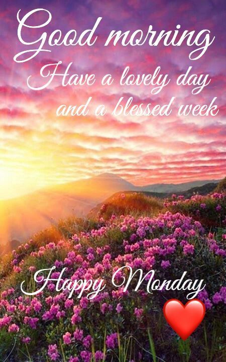 Good Morning, Have A Lovely Day And A Blessed Week, Happy Monday monday monday quotes happy monday monday blessings Monday Morning Greetings, Happy Monday Pictures, Happy Monday Images, Monday Greetings, Good Morning Monday Images, Monday Pictures, Happy Monday Quotes, Happy Monday Morning, Monday Images