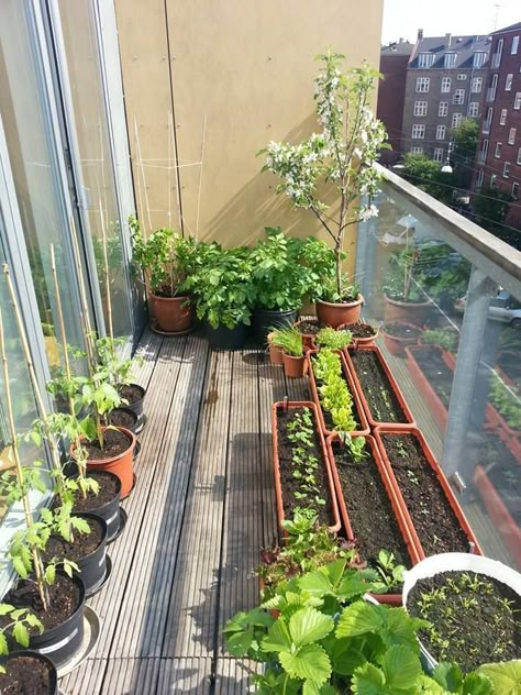 patio garden Apartment Patio Gardens, Balcony Herb Gardens, Apartment Gardening, Japanese Apartment, Naturalistic Garden, Apartment Balcony Garden, Small Balcony Garden, Small Vegetable Gardens, Balkon Design