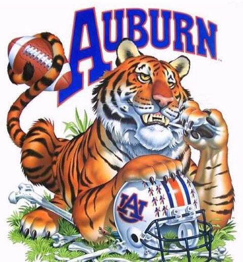 Auburn Clothes, Auburn Ideas, Auburn Tigers Football, Alabama Fans, Iron Bowl, Sec Football, Auburn Football, Go Big Blue, Auburn University