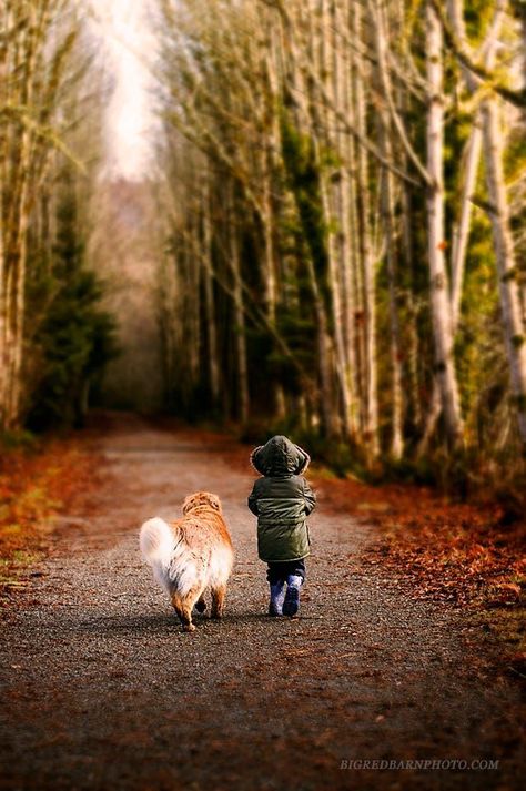 Big Red Barn, Barn Photography, Dogs And Kids, Dirt Road, Red Barn, Dog Photography, 귀여운 동물, Animals Friends, In The Woods