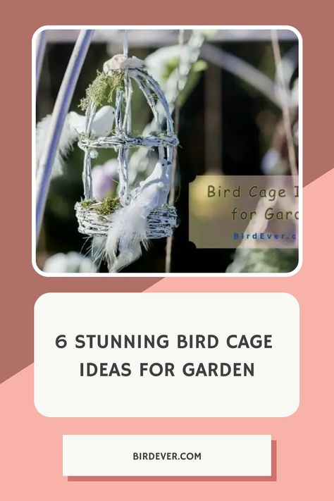 6 Stunning Bird Cage Ideas for Garden https://birdever.com/bird-cage-ideas-for-garden Bird Cage In Garden Ideas, Bird Cage Garden Ideas, Outdoor Bird Cage Ideas, Bird Cage Ideas, Vintage Bird Cage Decor, Global Inspired Decor, Birdcage Planter, Living In Luxury, Small Flowering Plants