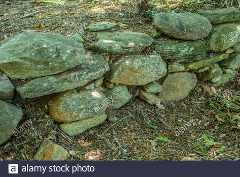 Closeup view of the dry stacked stone and rock wall covered with lichens and moss that is a rustic retaining wall for the plants in a garden Stock Photo Dry Stack Stone, Green Gardens, Rock Wall, Stacked Stone, Green Garden, Landscape Ideas, Retaining Wall, Shade Garden, A Garden