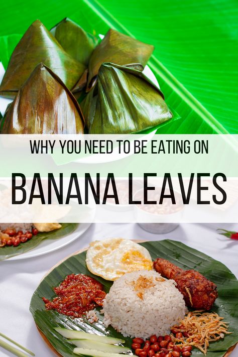 Trade out your regular plates for a more healthful, biodegradable option... Read about the health benefits of eating on banana leaves and tips for their use in the kitchen, dining room, & beyond. #bananaleaf #disposableplates #bananaplant #bananaleafplates #biodegradable #ecofriendly #bananahealthbenefits Banana Leaves, Banana Leaf Plates, Banana Health Benefits, Homemade Corn Tortillas, Banana Plants, Leaf Plates, Disposable Plates, Tropical Fruits, Leftovers Recipes