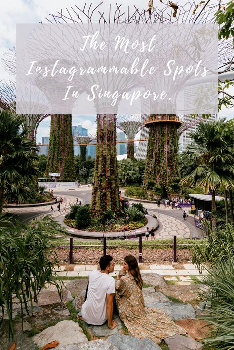 The Most Instagrammable Places in Singapore. What to do in Singapore. Best Photo Spots in Singapore. Art Science Museum, Singapore Photos, Indoor Waterfall, Luxury Travel Destinations, Singapore Travel, Gardens By The Bay, Instagrammable Places, Best Photo, Mean It