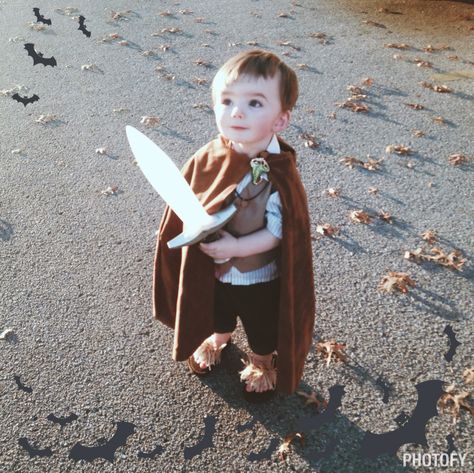 My little guy as Frodo Baggins this Halloween. Frodo And Sam Costume, Family Hobbit Costumes, Toddler Hobbit Costume, Frodo Baggins Cosplay, Frodo Costume Kids, Hobbit Costume, Salem Halloween, Lotr Costume, Halloween Group