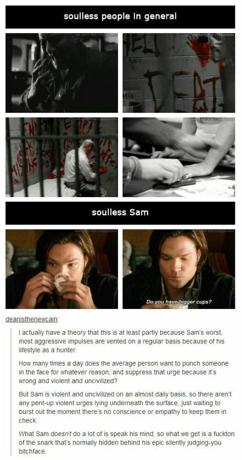 Supernatural Headcanon, Harry Potter Humor, Soulless Sam, Sam Supernatural, Impala 67, Sam Dean, Winchester Boys, Supernatural Memes, Wayward Son