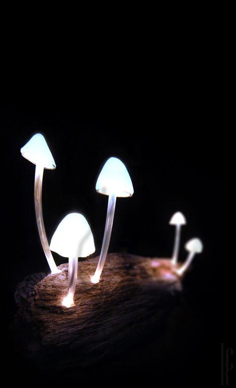 Luminous Mushrooms, Glowing Mushrooms, Small Creatures, Mushroom Lights, Morel Mushroom, Book Aesthetics, Pre Production, Mushroom Lamp, Chiaroscuro