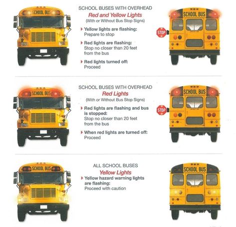 School Bus Art, Cdl Test, School Bus Driving, Bus Information, School Bus Safety, Bus Stop Sign, Driving Class, Bus Safety, Drivers Test