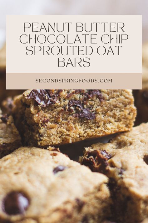 Sprouted Rolled Oats Recipes, Sprouted Oats Recipes, Sprouted Rolled Oats, Sprouted Oats, Sprouted Recipes, Kids Breakfast, Granola Recipe Bars, Peanut Butter Cookie, Sprout Recipes