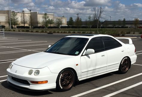 1994 Acura Integra, Db8 Integra, Integra Dc2, Honda Integra, Acura Cars, Honda Accord Sport, Lowrider Trucks, Car Deco, Plastic Model Cars