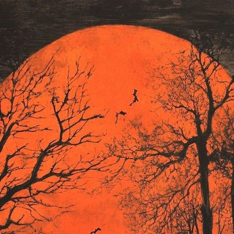 Aesthetic Spooky, Spooky Sunset, Halloween Colors Aesthetic, Spider Webs Halloween, Black And Orange, Halloween Spider Web, Winter Break, Orange Aesthetic, Season Of The Witch