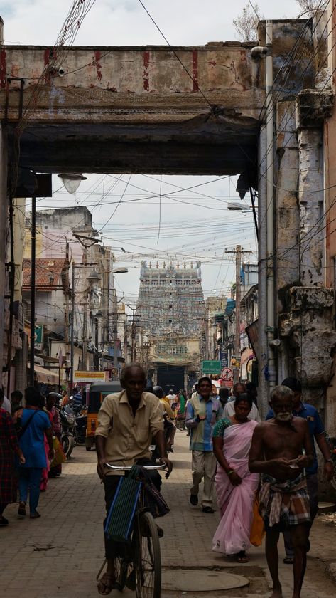 Meenakshi Amman Temple Photography, Madurai Photography, Madurai Meenakshi Temple, Madurai Meenakshi Amman, Meenakshi Amman Temple, Meenakshi Temple, Meenakshi Amman, Temple Photography, Tiger Pictures