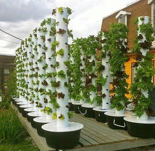 Hydroponic Gardening Diy, Hydroponic Gardening System, Vertical Vegetable Gardens, Front Yard Landscaping With Rocks, Yard Landscaping With Rocks, Hydroponic Farming, Hydroponics Diy, Front Yard Landscaping Pictures, Front Yard Landscaping Australian