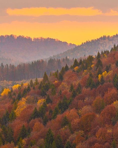 Fall Trees Mountains, Colorado Autumn Aesthetic, Fall In Mountains, Autumn Mountain Aesthetic, Autumn In The Mountains, Fall Mountain Aesthetic, Pnw Autumn, Autumn Forest Aesthetic, Mountains In The Fall