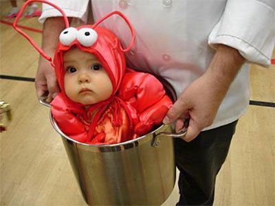 Lobster Baby Costume Baby Lobster Costume, Halloween Kostüm Baby, Lobster Costume, Perlengkapan Bayi Diy, Diy Baby Costumes, Foto Kids, Boy Halloween, Baby Kostüm, Food Costumes