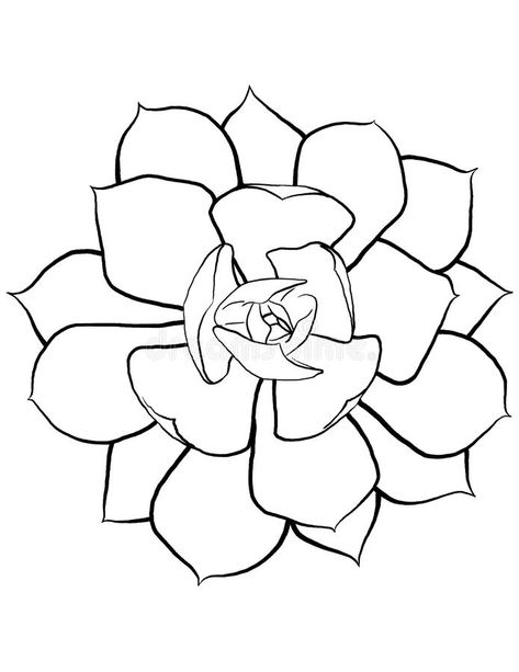 Succulent Line Art. Isolated succulent rosette plant line art coloring page tattoo desig stock illustration Succulent Illustration Drawing, Succulent Tattoo Design, Succulent Coloring Page Free Printable, Succulent Line Art, Succulent Line Drawing, Succulent Sketch, Succulent Coloring Page, Succulent Drawings, Succulent Art Drawing