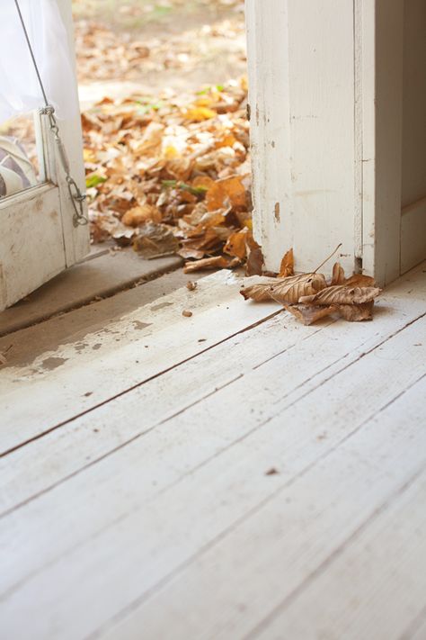 Is when the leaves wait at the back door, waiting for an opportunity to scurry in Leaves On The Ground, Camp Wandawega, Open Door, Autumn Beauty, Best Seasons, Autumn Aesthetic, On The Ground, Hello Autumn, Autumn Day