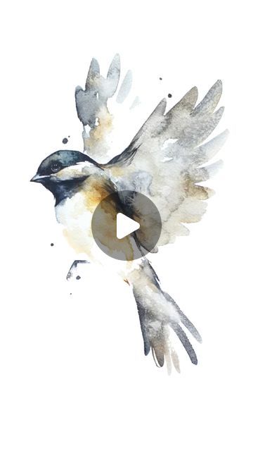 Watercolor Birds Tutorial Step By Step How To Paint, Birds Watercolor Paintings, Watercolor Art Birds, Cute Bird Drawing, Birds In Watercolor, Watercolor Birds Tutorial, Watercolour Birds, Chickadee Art, Bird Watercolor Art