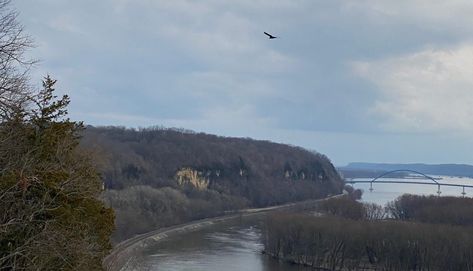 Camping with the Eagles at Mississippi Palisades State Park Matthiessen State Park Illinois, Savanna Illinois, Mississippi Palisades State Park, Mississippi River Road Trip, Great River Road Trip Mississippi, Deer Hunting Season, Mississippi Highway Patrol, Illinois Travel, State Park Camping