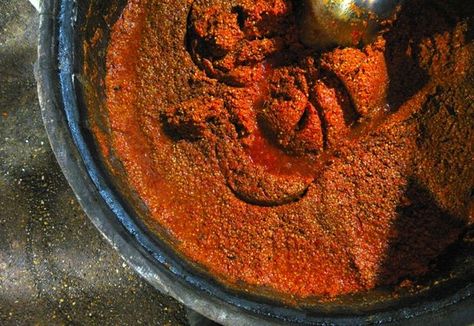 Fermented Hot Sauce - How to Make Hot Sauce Tabasco Style Fermented Hot Sauce Recipe, Make Hot Sauce, Preserving Peppers, Fermented Hot Sauce, Fermenting Foods, Tabasco Hot Sauce, Tabasco Pepper, Fermented Pickles, Hot Sauce Recipes