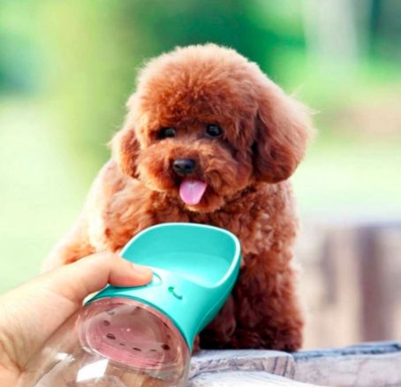 The 5 Best Water Bottles for Dogs – Perfect for Hiking & Traveling Dog Walking Accessories, Dog Water Dispenser, Pet Water Bottle, Dog Water Bottle, Travel Water Bottle, Portable Water Bottle, Cat Travel, Dog Travel, Water Bowl