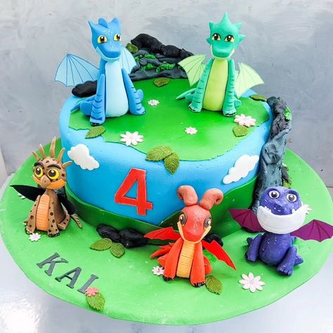 Rescue Riders Cake, Rescue Riders Birthday, Dragon Rescue Riders, Rescue Riders, 5th Birthday Cake, Dragon Cake, Summer Cakes, 5th Birthday, Birthday Party Themes