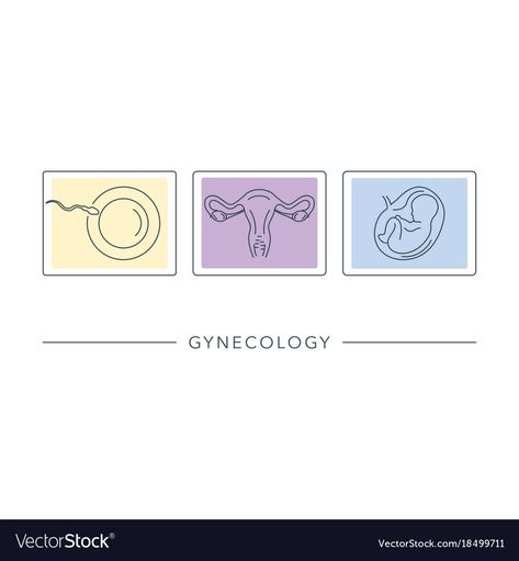 Gynecology Aesthetic, Gynecology Logo, Obgyn Aesthetic, Human Embryo, Hospital Logo, Clinic Logo, Female Reproductive System, Boho Painting, Medical School Essentials