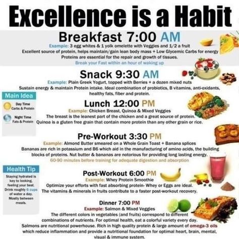 A perfect time table for your daily routin work Daily Meal Plan Healthy, Excellence Is A Habit, Daily Diet Plan, Daily Meal Plan, Time Table, Shape Magazine, Diet Vegetarian, Fat Loss Diet, Lean Body