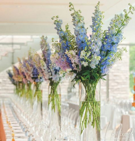 {Tall Centerpieces Of Spring Time Colors Of Gladiolus In Tall Glass Cylinder Vases···································} Blue Delphinium, Tall Centerpieces, Blue Wedding Flowers, Vase Arrangements, Long Table, Deco Floral, Wedding Flower Arrangements, Tall Vases, Table Flowers