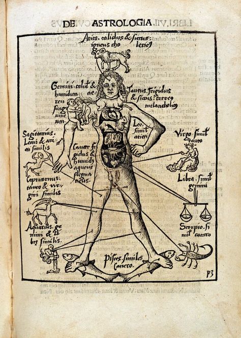 Shakespeare and the four humours | Wellcome Collection Wellcome Collection, Twelfth Night, Historical Images, British History, Anatomy Art, Historical Fiction, Middle Ages, Alchemy, The Four