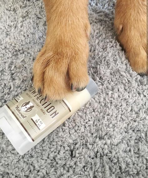 Natural Dog Company  PAWTECTION  for protecting dogs paw pads  ORGANIC VEGAN  2 oz stick >>> Visit the image link more details-affiliate link. #dogapparelandaccessories Dog Paw Protection, Dog Paw Balm, Dog Paw Pads, Dogs Paw, Paw Protector, Paw Balm, Paw Pads, Dog Apparel, Dog Paw