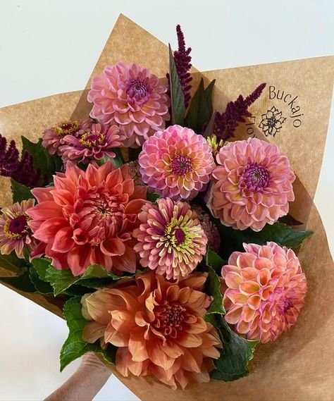 Buckajo Flowers on Instagram: "All your favourite freshly picked dahlias, zinnias, celosia and other delights in your @begaproducemarket bouquets for tomorrow morning from 8am. See you there 💗. First bouquet featuring Dahlias Christie Leader, Ganges, Autumn Times and Breannon. #freshlypicked #summerflowers #begavalleyflowers #grownnotflown #gnfsupportlocal #farmerflorist #microflowerfarm #noplastic #chemicalfree #beefriendlyflowers #nodyes #australianflowerfarmers #australiangrown #safetosniff Dahlia Market Bouquet, Dahlia And Zinnia Bouquet, Celosia Bouquet, Feverfew Bouquet, Zinnia Wedding Bouquet, Dahlia Flower Bouquet, Hoco Flowers, Flower Bouquet Pictures, Market Bouquets