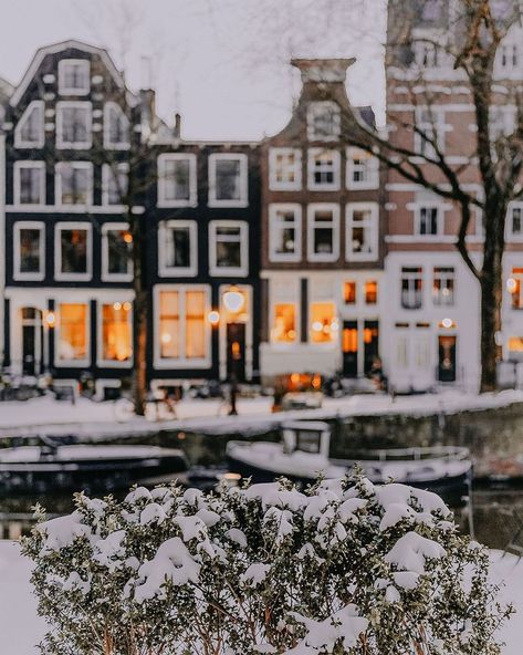 Amsterdam Pictures Ideas Winter, Amsterdam Winter Aesthetic, European Winter Aesthetic, Amsterdam Aesthetic Winter, Amsterdam In Winter, Netherlands Aesthetic, Amsterdam Pictures, Amsterdam Winter, Travel Netherlands