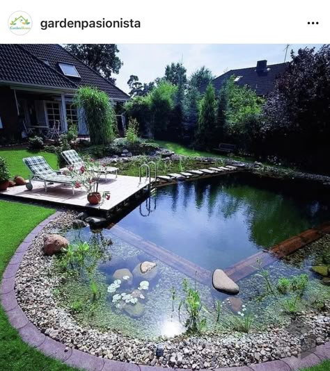 Swimming Ponds, Amazing Backyard, Natural Swimming Ponds, Swimming Pond, Natural Pond, Natural Swimming Pools, Natural Swimming Pool, Pond Design, Dream Pools