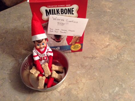 Jingles got into the dog cookies, Bella is not happy. Elf On Shelf, Cookie Connection, Dog Cookies, Dog Biscuits, Elf On The Shelf Ideas, Christmas Cookie, Shelf Ideas, Cozy Space, On The Shelf