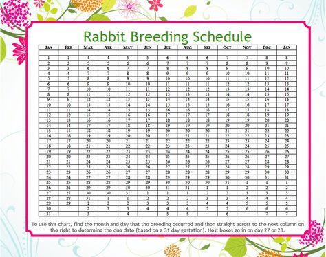 I've discovered it's pretty helpful to be able to count the days of your rabbits gestation. I recently came across this tool that could be useful for you. Print it out and keep it with your records... Rabbit Record Keeping, Rabbit Breeding, Raising Rabbits For Meat, Show Rabbits, Homesteading Animals, Rabbit Farm, Meat Rabbits, All About Rabbits, Raising Rabbits