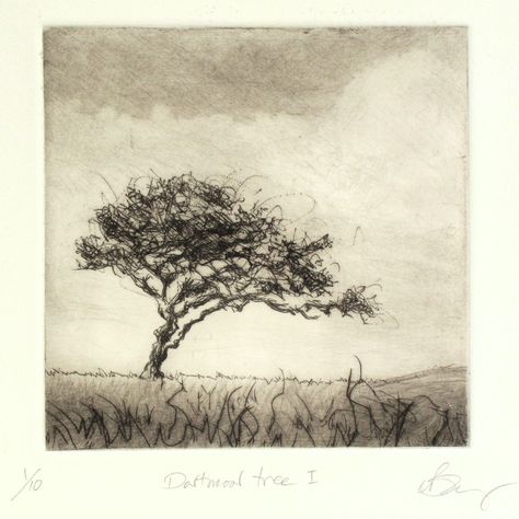 Intaglio Printmaking, Drypoint Etching, Exeter Devon, Etching Prints, Contemporary Art Painting, Tree Drawing, Black And White Drawing, Lithography, Power Tool