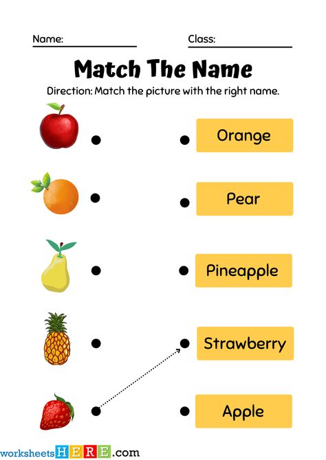 Fruit Worksheets For Kindergarten, Fruit Worksheet, Color The Fruits Worksheet, Fruits Worksheet For Grade 1, Match The Fruits Worksheet, Damson Plum, Finger Lime, Pink Banana, Bing Cherries