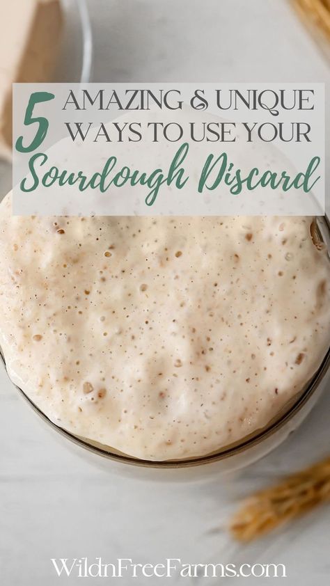 use sourdough discard Best Sourdough Starter Recipe, Use Sourdough Discard, Using Sourdough Discard, Yeast Free Breads, Sourdough Cinnamon Rolls, Discard Recipe, Sourdough Starter Discard Recipe, Letting It Go, Sourdough Starter Discard